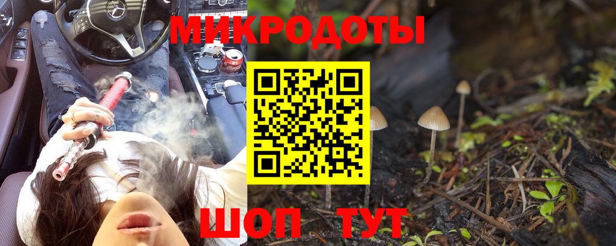 Вязники  что такое наркотик  Вход с VPN  Псилоцибиновые грибы Psilocybe 